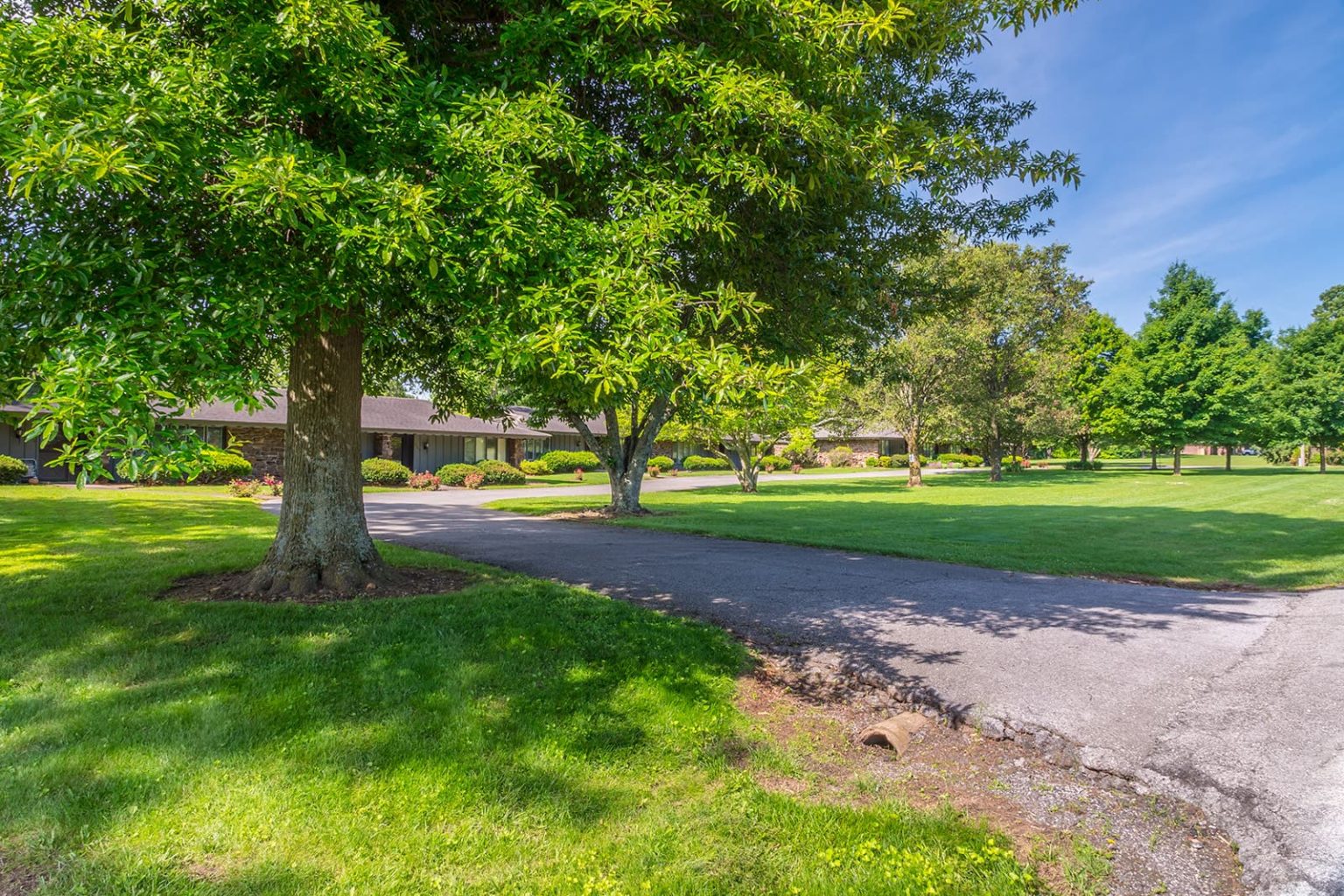 Gallery Hickory Village 55 Plus